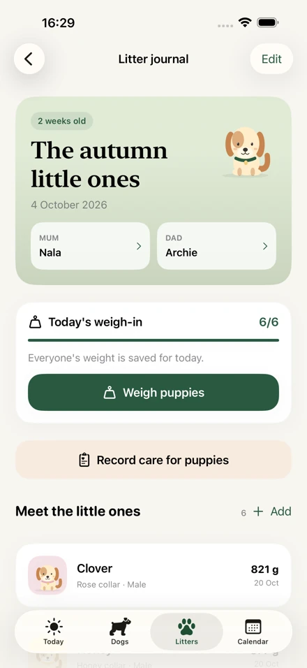 Actual Paws & Days screen: litter records